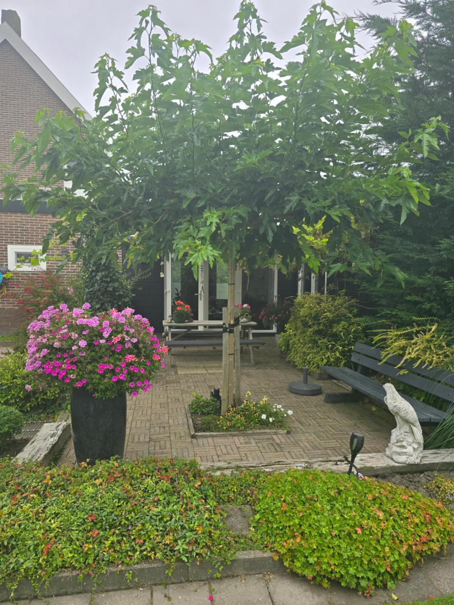 B&B Welkom Zierikzee Eksteriør bilde